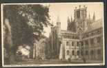 ELY CATHEDRAL, VINTAGE POSTCARD - Ely