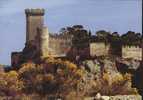 Beaucaire. Gard 30. Château Du 11è Siècle, Démantelé Par Richelieu. - Beaucaire