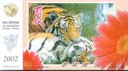 Manchurian Tiger , Rare Animal    , Pre- Stamped Card , Postal Stationery - Rinoceronti