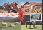 FRANCE CARTE MAXIMUM NUM.YVERT 3603 TOURISME  LE PAYS BASQUE - 2000-2009