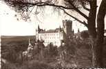 5. SEGOVIA  : EL ALCAZAR, VISTO DESDE EL PINAR. - Segovia