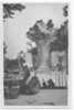 84 /FL/ APT, CAVALCADE,CORSO, Char  Vase Fleuri, CARTE PHOTO, ANIMEE - Apt