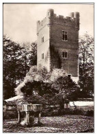 GROOT-BIJGAARDEN-GRAND BIGARD-LE DONJON DU CHATEAU - Dilbeek