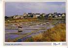 Village De  PALUDIERS  -  Collection LITTORAL - Poitou-Charentes