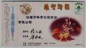 Cartoon Elephant Trademark,fruit Basket,banana,apple,China 2000 Wannianqing Cement Factory Advertising Pre-stamped Card - Eléphants
