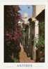 CpE2103 - ANTIBES - Vieille Rue - (06 - Alpes Maritimes) - Antibes - Old Town