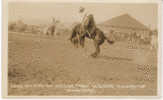 Weiser ID Round-up Rodeo, Bucking Bronco Real Photo Vintage Postcard - Autres & Non Classés