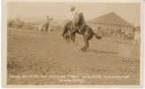 Weiser ID Round-up Rodeo, Bucking Bronco Real Photo Vintage Postcard - Sonstige & Ohne Zuordnung