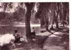 SAINT REMY LES CHEVREUSES  -   Le Lac De Beauséjour  -  Pêcheurs  -  N° 812 - St.-Rémy-lès-Chevreuse