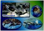 Marineland - Orque - Dauphins - Requin - Delphine