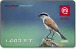 Slowenien - Slovenia - Mobi GSM Recharge Card - Bird - 1000 SIT - 31/12/2007 - Slovenia