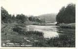 Herbeumont-sur-Semois La Semois En Acal Du Moulin Willaimes - Herbeumont