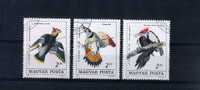 - HONGRIE . ENSEMBLE DE TIMBRES SUR LES PICS ET GRIMPEURS - Climbing Birds