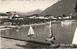 Ascona-vele Sul Lago - Ascona