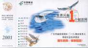 Seagull Dove Pigeon   Bird  ,    Prepaid Card , Postal Stationery - Seagulls