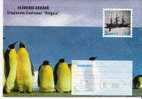 Rum056a/ RUMÄNIEN -   Priv. GA (3 Stück) Antarktik (Antarctic) 1997. Pinguine, Segelschiff, Kapitän - Covers & Documents