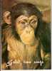 HUMOUR ANIMALIER - SALUT VIEUX SINGE - Monkeys