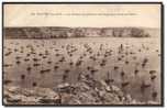 29 CAMARET, Bateaux De Pêche Au Mouillage Dans L'anse De Penhir, Photo Doaré 293, Dos Divisé Vierge - Camaret-sur-Mer