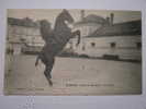 CPA   SAUMUR  CADRE NOIR   CAVALERIE  COURBETTE - Hippisme