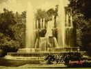 4967    ITALIA ITALY  TIVOLI  VILLA D'ESTE FONTANA DELL ORGANO   YEARS / ANNI  1950 - Tivoli