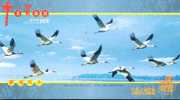 #B2#  Cranes Birds  , Specimen   Prepaid Card , Postal Stationery - Grues Et Gruiformes