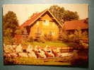 R.627 ALEMANIA GERMANY DEUTSCHLAND BRANDEMBURGO LUEBBEN SPREEWALD BLOTA AÑOS 60/70 MAS EN MI TIENDA - Luebben (Spreewald)