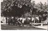 CAPENDU 11 La Place De L'Horel De Ville Avec Enfants Editions Guilhem Carte Dentelée Véritable Photo - Capendu