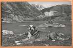 D458, Valais, Val De Bagnes, Lac Et Hospice Du Grand St. Bernard, Mont Velan, Chien Couché. 1954 Vers Zürich. - Bagnes