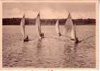 CPA.     LAC DE VIRELLES.    Course De Voiliers.    (animée) - Chimay