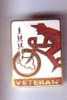 TOUR DE YOUGOSLAVIE ( Old & Rare & Large ENAMEL Pin ) Cyclisme Cycling Vélo Radsport Ciclismo Bicycling Radfahren - Radsport