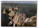 29 - CAMARET - Vue Aerienne Pointe De Camaret Et Les Tas De Pois - Bord Dentelé - Excellent état - Camaret-sur-Mer