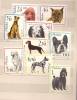 POLAND 1963 DOGS Set MNH** - Ungebraucht