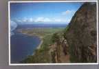 Molokai's Famous Mule Ride  - Hawaii - Molokai