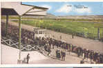 Ca 1920 Race Track Stadium Stade Stadion Tijuana Mexico Pre-linen Publ.: The Big Curio Store - Paardensport