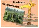 CPM BORDEAUX  GIRAFE Ici On Respire! - Giraffen