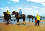 Carte Postale  Belgique  Koksijde  Coxyde  Pêcheurs De Crevettes à Cheval Trés Beau Plan - Koksijde