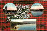 TARTAN MACINTOSH - Multi-View LAMLASH - Isle Of Arran -Argyll - (R Tuck) SCOTLAND - Argyllshire