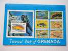 Antilles - Grenada Tropical Fishes On  Stamps- Diver - Diving    CPM  -  VF  D46890 - Grenada