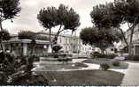 CP -  PHOTO - CARPENTRAS - SQUARE PIERRE DE CHAMPVILLE - 4 366 - Carpentras