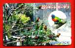 Japan Japon  Telefonkarte Télécarte Phonecard Telefoonkaart - Bird  Vogel  Oiseau  Papagei Perroquets Parrot - Loros