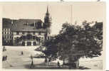 Fribourg L´Hotel De Ville Et Le Tilleul De Morat Ed Phototypie Lausanne - Murten