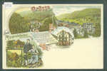 GRUSS AUS BAD RIPPOLDSAU  - LITHO  - TB - Bad Rippoldsau - Schapbach