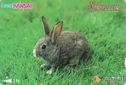 Carte Prépayée Japon - ANIMAL - LAPIN - RABBIT Japan Prepaid Compass Nankai Card - KANINCHEN - KONIJN - CONEJO - 128 - Konijnen