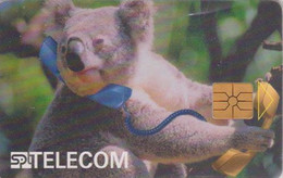 Télécarte Puce Rép Tchèque CZ -ANMAL - KOALA Au Téléphone - KOALABÄR Chip Phonecard - 185 - Czech Republic