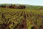 39 ARBOIS Domaine De Sorbief  Propriete Henri Maire - Arbois