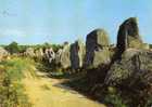 MORBIHAN 1967 (les Menhirs) - Dolmen & Menhirs