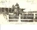 CONCORSO IPPICO DI FRANCIA VIAG 1904 PERFETTA - Paardensport