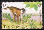 GAMBIE       N° 1062       NEUF** - Monkeys