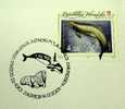 2001 CROATIA CANCELATION ON COVER 90 YEARS SOUTH POLE ROALD AMUNDSEN WHALE - Ballenas