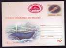 WHALE BALEINE- Hunting,entier Postal Stationery 190/2003,PMK BUCHAREST  2003 RED RARE. - Ballenas